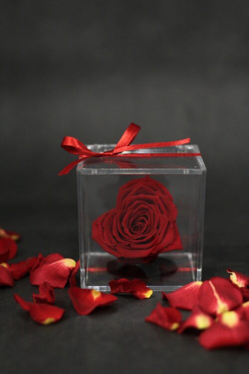 Rose éternelle en coeur
