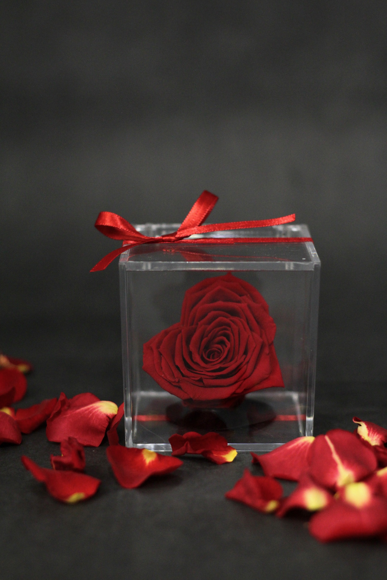 Rose éternelle en coeur