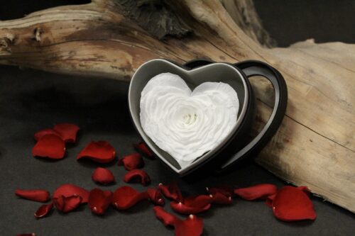 Rose rose blanche en coeur et boitier noir