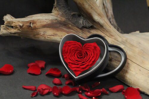 Rose rouge en coeur et boitier noir