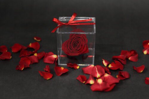 Rose éternelle en coeur