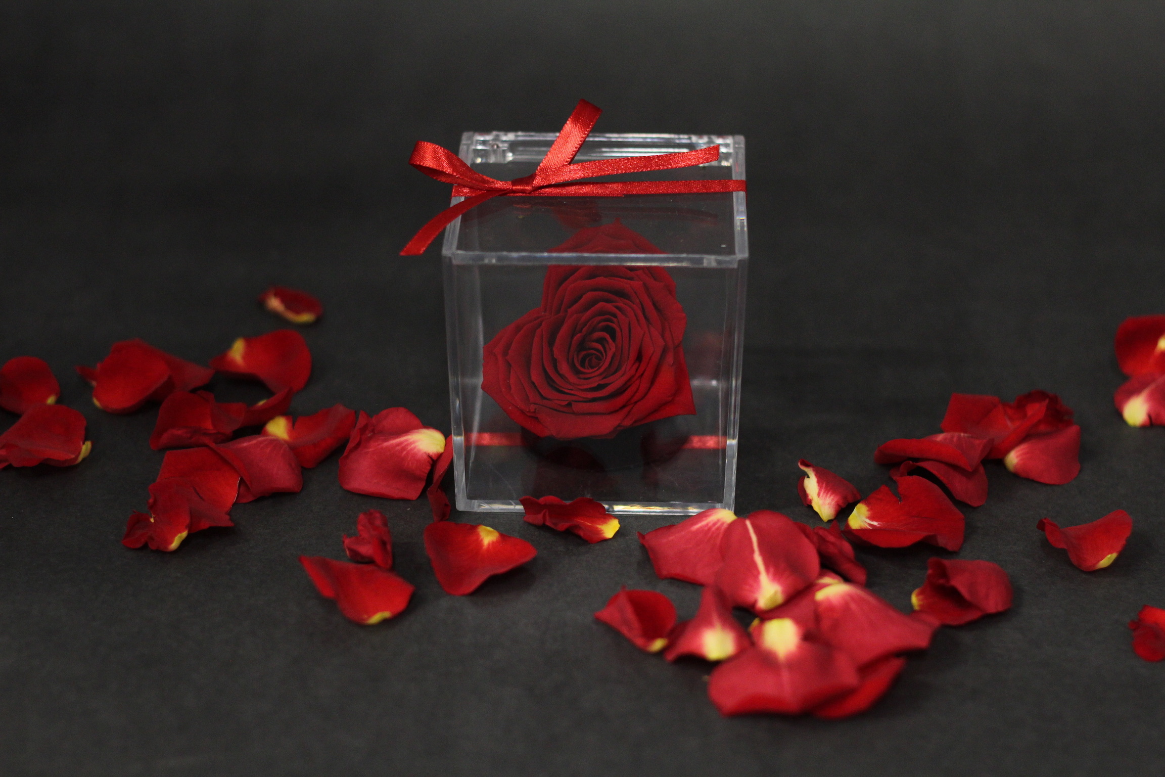 Rose éternelle en coeur