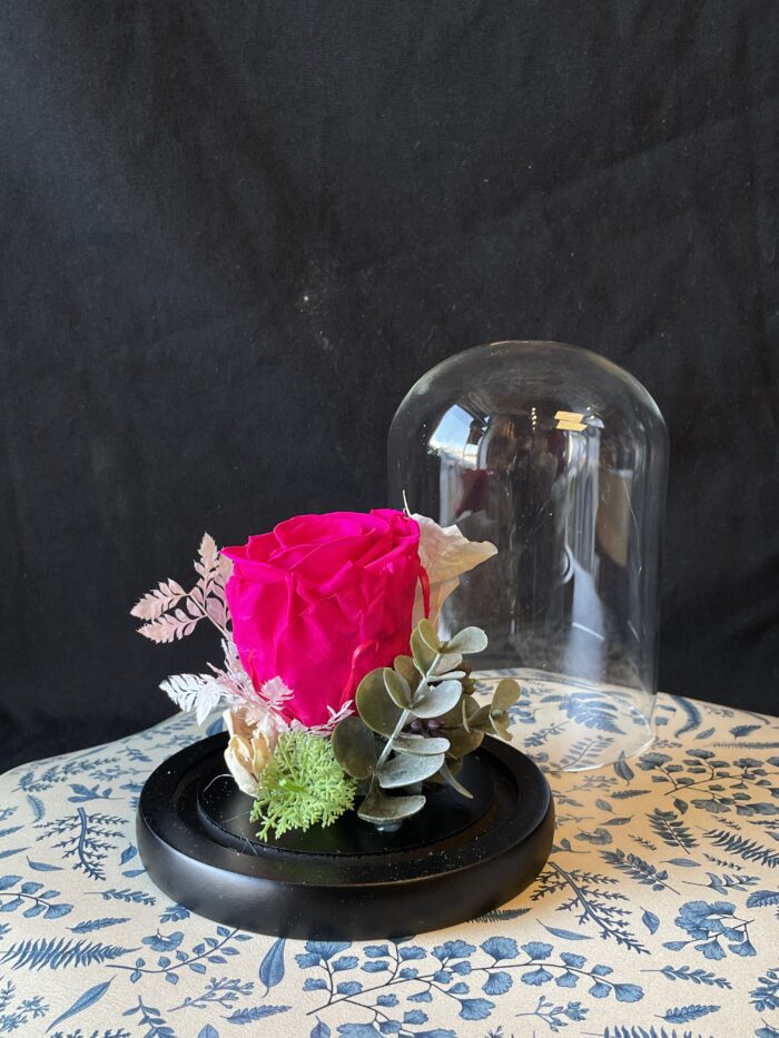 Dôme de roses éternelles - Image 10