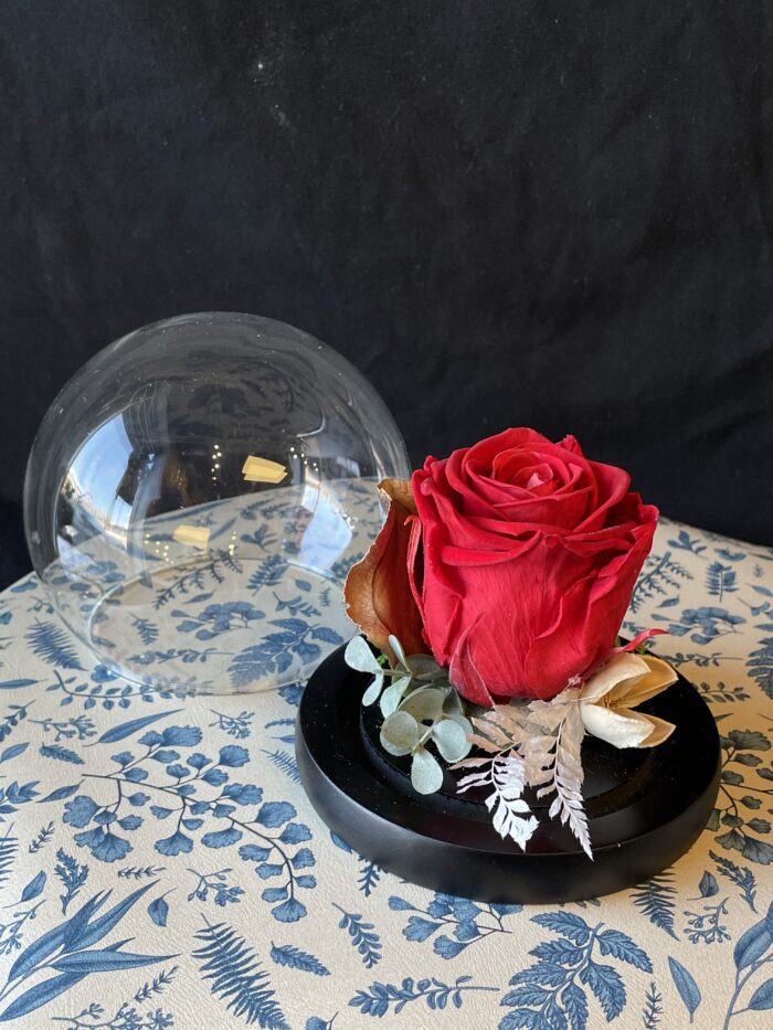Dôme de roses éternelles - Image 8