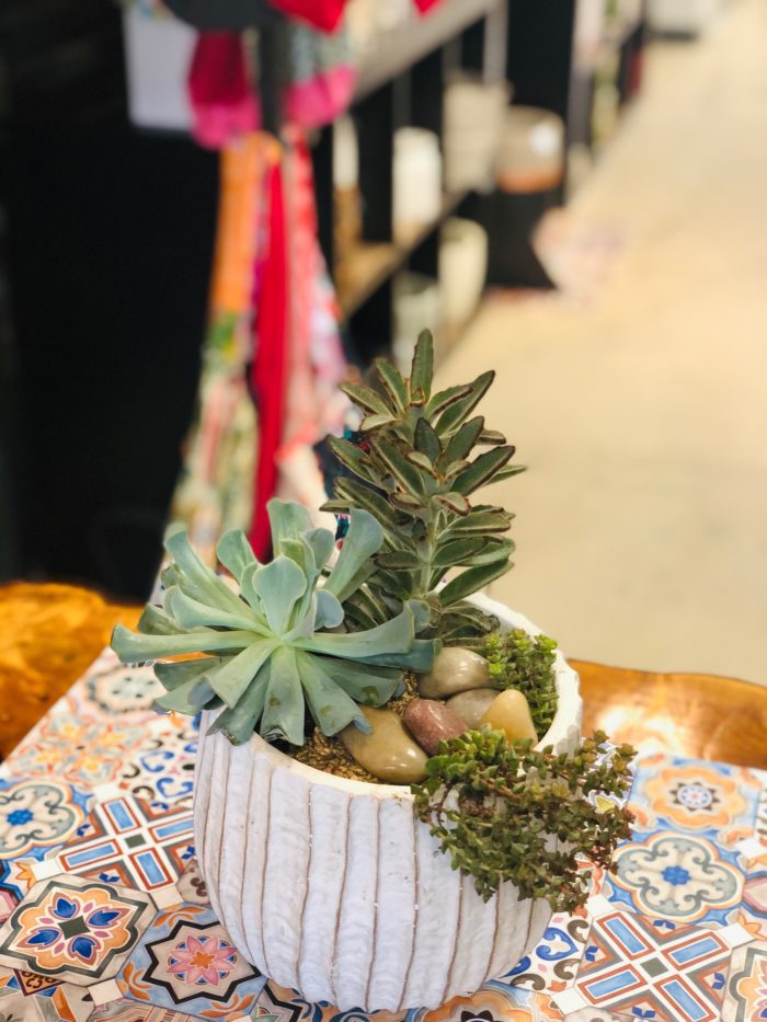 Jardin de succulentes dans pot déco tendance - Image 2