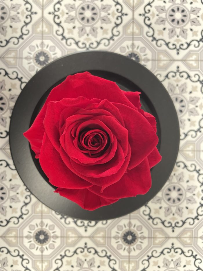 Dôme de rose éternelle - Image 2