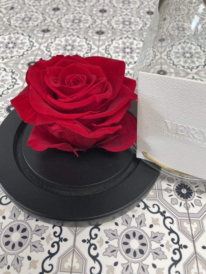 Dôme de rose éternelle - Image 3