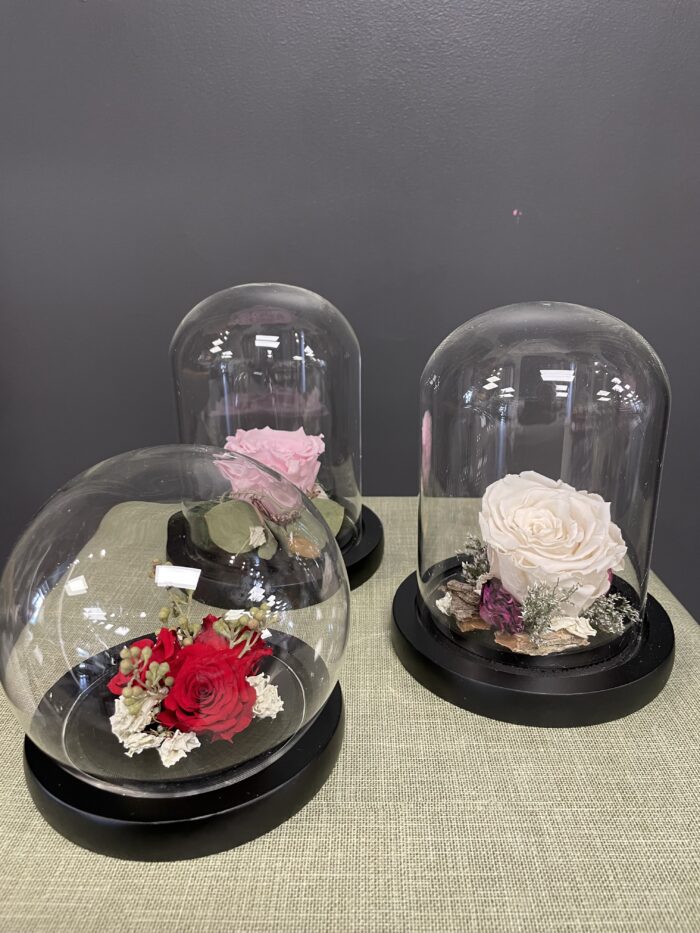 Dôme de roses éternelles
