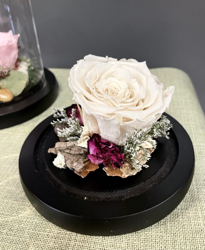 Dôme de roses éternelles - Image 3