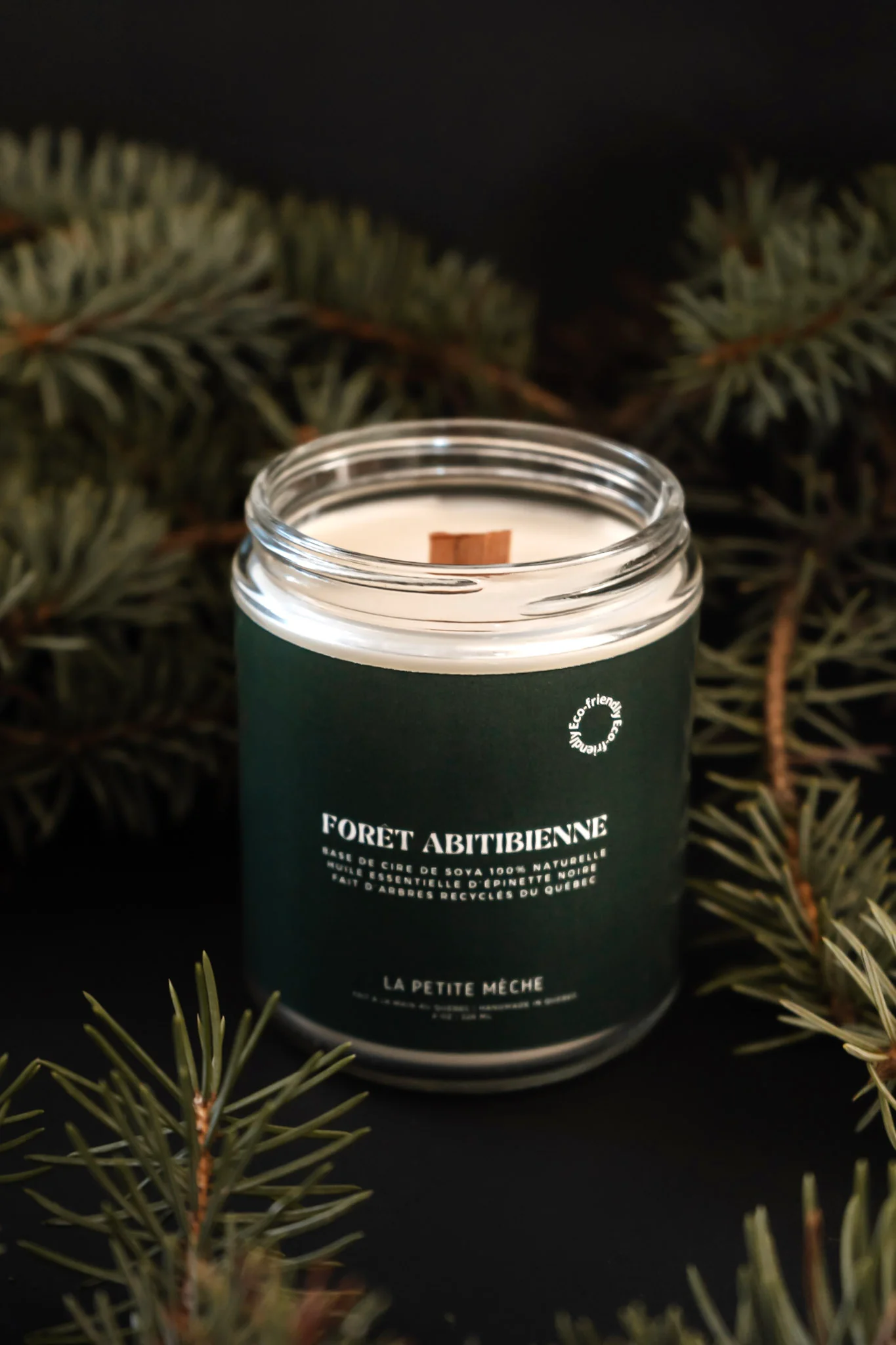 Petite meche - Foret abitibienne